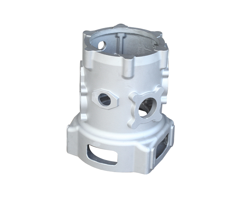 Ruili crankcase